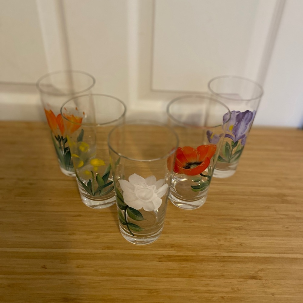Vintage Floral Glasses Set of 5